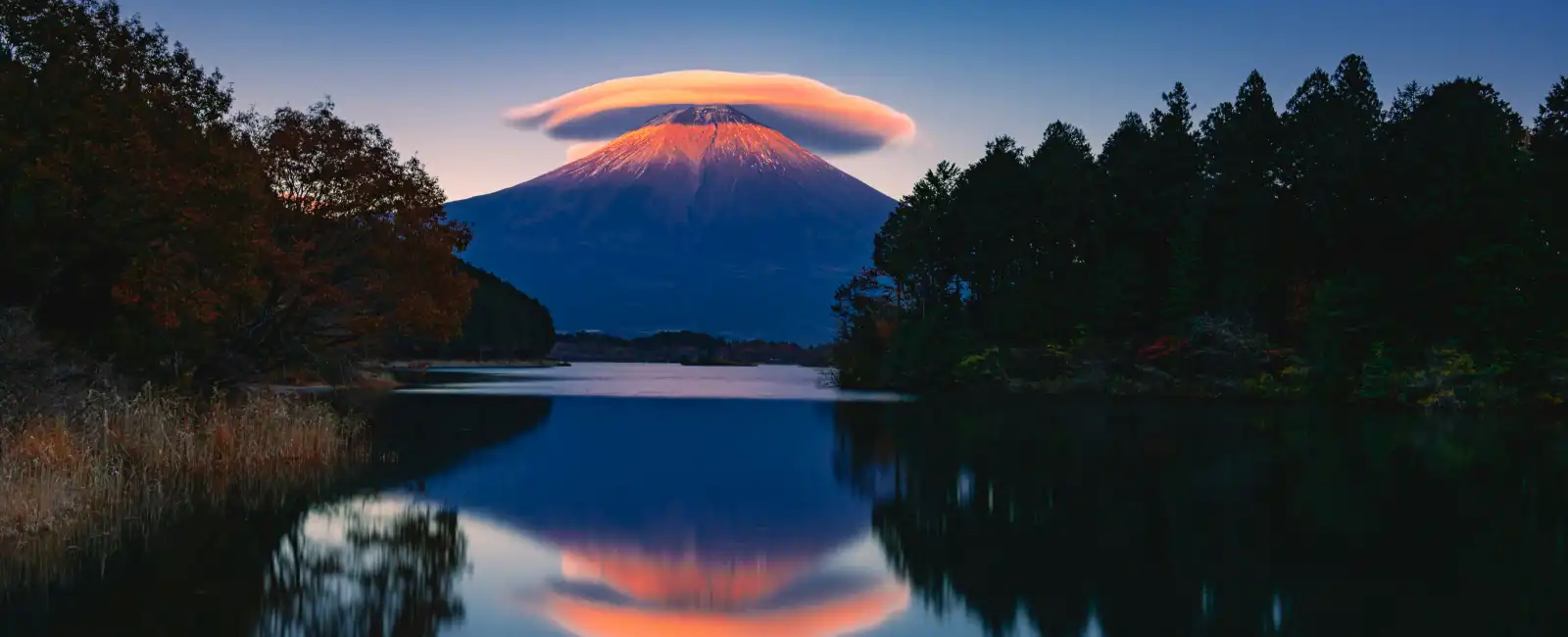 Fuji mount