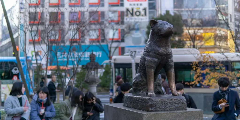 Must-Visit Neighborhoods: Shibuya, 