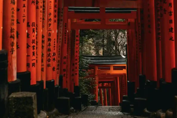 Torii-Gates