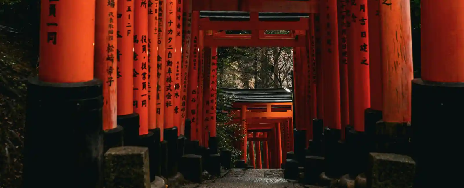 Torii-Gates